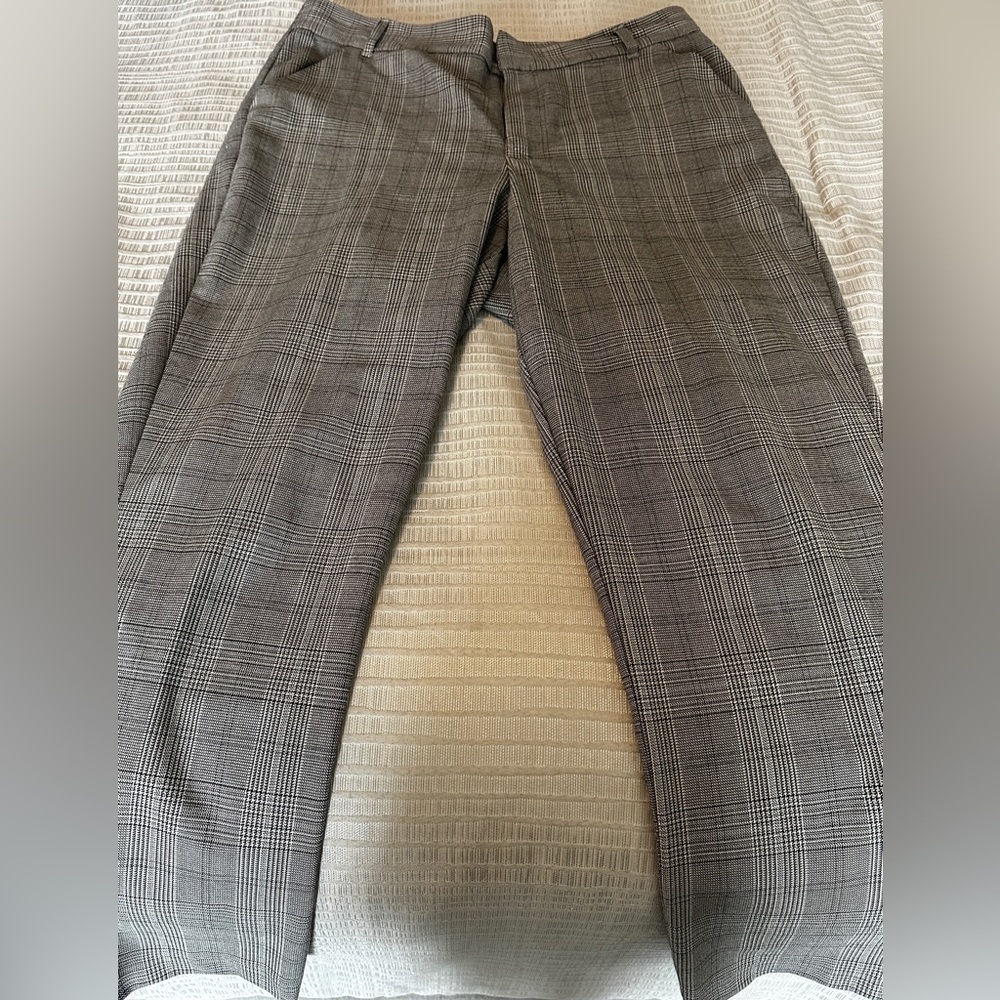 Zara Flat Front Ankle Length Trousers
